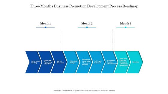 Three Months Business Promotion Development Process Roadmap Portrait