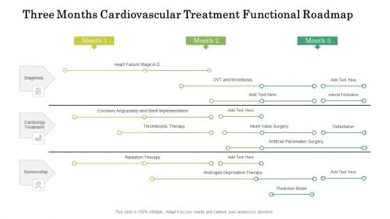 Three Months Cardiovascular Treatment Functional Roadmap Graphics