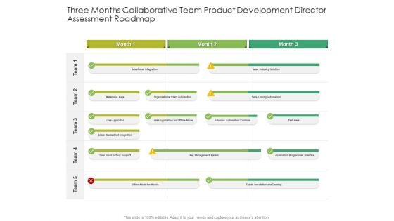 Three Months Collaborative Team Product Development Director Assessment Roadmap Inspiration