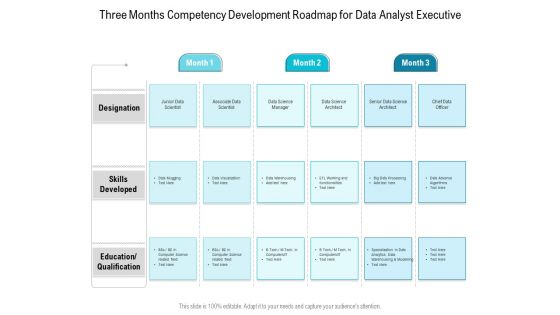 Three Months Competency Development Roadmap For Data Analyst Executive Elements