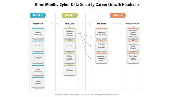 Three Months Cyber Data Security Career Growth Roadmap Diagrams