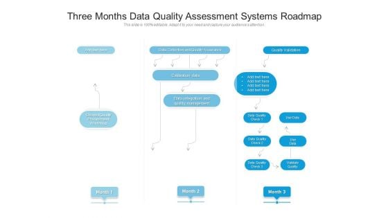 Three Months Data Quality Assessment Systems Roadmap Mockup