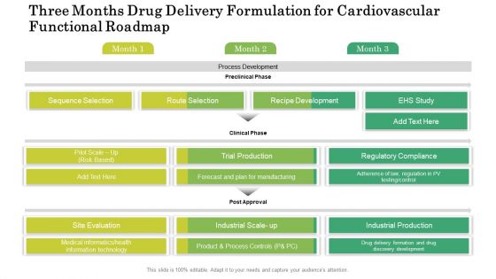 Three Months Drug Delivery Formulation For Cardiovascular Functional Roadmap Infographics