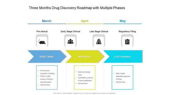 Three Months Drug Discovery Roadmap With Multiple Phases Demonstration