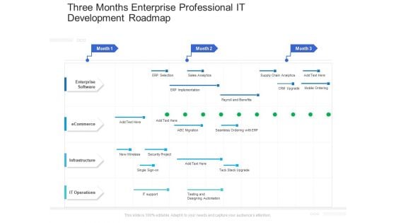 Three Months Enterprise Professional IT Development Roadmap Formats Three Months Enterprise Professional IT Development Roadmap Formats