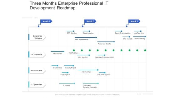 Three Months Enterprise Professional IT Development Roadmap Formats