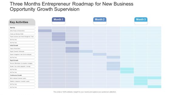 Three Months Entrepreneur Roadmap For New Business Opportunity Growth Supervision Brochure PDF