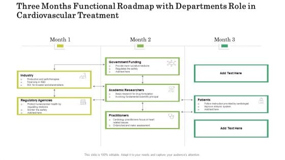 Three Months Functional Roadmap With Departments Role In Cardiovascular Treatment Graphics Three Months Functional Roadmap With Departments Role In Cardiovascular Treatment Graphics