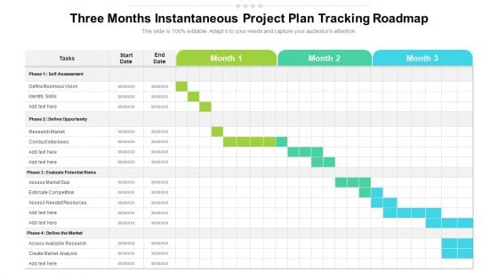 Three Months Instantaneous Project Plan Tracking Roadmap Themes