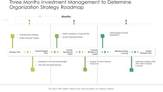 Three Months Investment Management To Determine Organization Strategy Roadmap Introduction