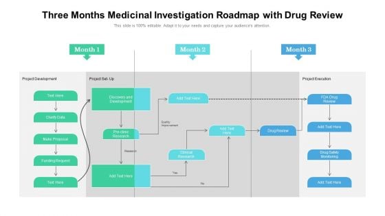 Three Months Medicinal Investigation Roadmap With Drug Review Portrait