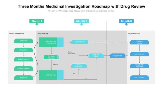 Three Months Medicinal Investigation Roadmap With Drug Review Portrait