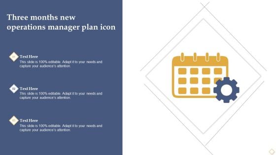 Three Months New Operations Manager Plan Icon Ppt File Background Images PDF