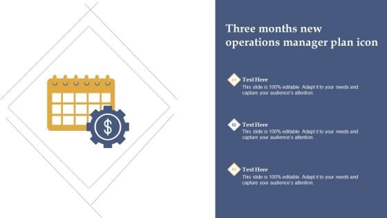 Three Months New Operations Manager Plan Icons Ppt Styles Guidelines PDF