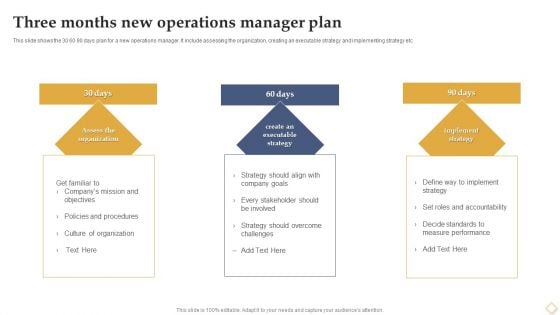 Three Months New Operations Manager Plan Ppt Professional Tips PDF