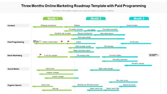 Three Months Online Marketing Roadmap Template With Paid Programming Diagrams