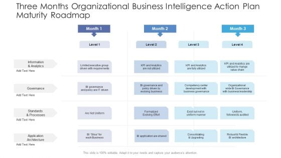 Three Months Organizational Business Intelligence Action Plan Maturity Roadmap Formats