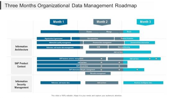 Three Months Organizational Data Management Roadmap Portrait