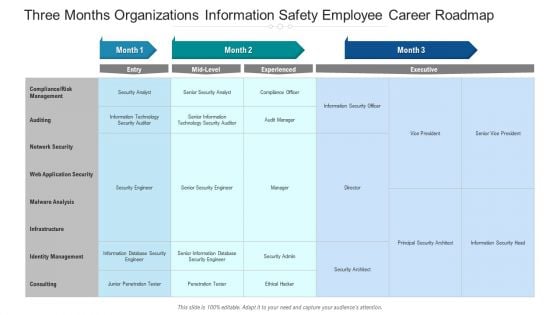 Three Months Organizations Information Safety Employee Career Roadmap Demonstration