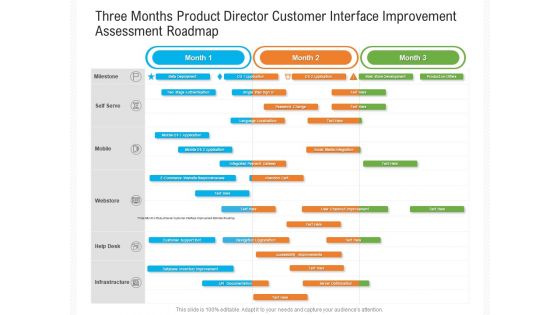 Three Months Product Director Customer Interface Improvement Assessment Roadmap Portrait