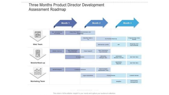 Three Months Product Director Development Assessment Roadmap Demonstration