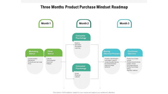 Three Months Product Purchase Mindset Roadmap Slides