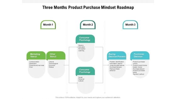 Three Months Product Purchase Mindset Roadmap Slides