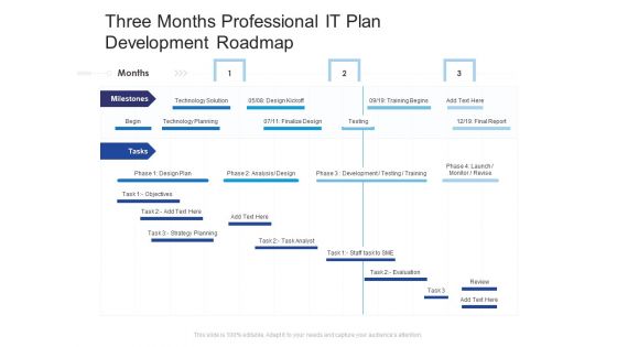 Three Months Professional IT Plan Development Roadmap Sample