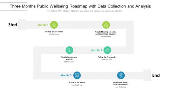 Three Months Public Wellbeing Roadmap With Data Collection And Analysis Guidelines