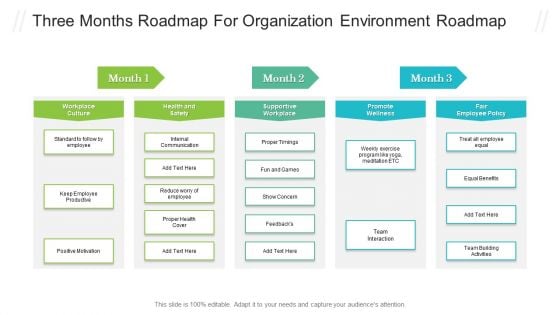 Three Months Roadmap For Organization Environment Roadmap Mockup PDF