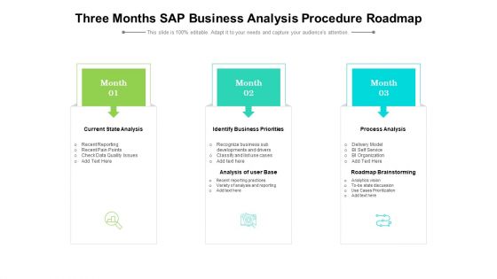 Three Months SAP Business Analysis Procedure Roadmap Demonstration