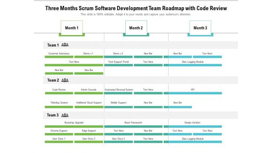 Three Months Scrum Software Development Team Roadmap With Code Review Structure