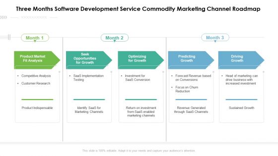 Three Months Software Development Service Commodity Marketing Channel Roadmap Elements