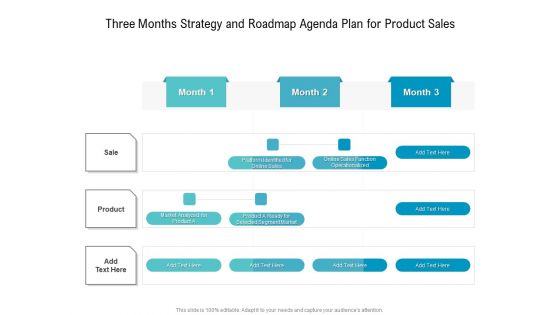 Three Months Strategy And Roadmap Agenda Plan For Product Sales Background