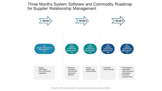 Three Months System Software And Commodity Roadmap For Supplier Relationship Management Background