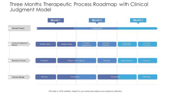 Three Months Therapeutic Process Roadmap With Clinical Judgment Model Mockup