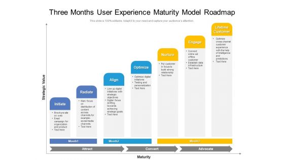 Three Months User Experience Maturity Model Roadmap Topics