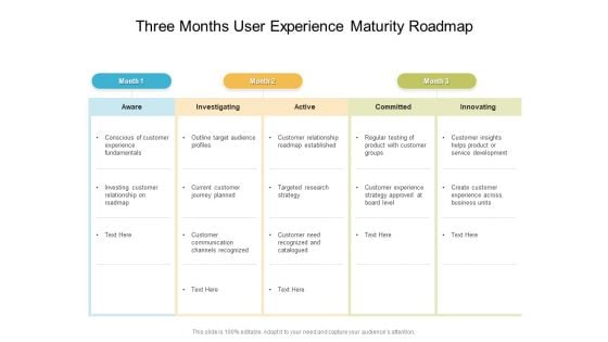 Three Months User Experience Maturity Roadmap Mockup