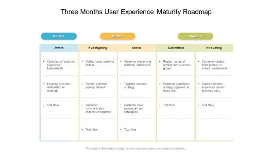 Three Months User Experience Maturity Roadmap Mockup Three Months User Experience Maturity Roadmap Mockup