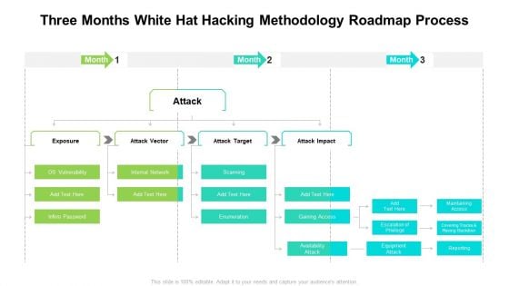 Three Months White Hat Hacking Methodology Roadmap Process Professional