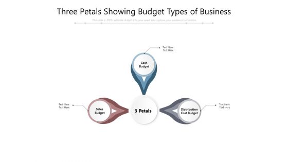 Three Petals Showing Budget Types Of Business Ppt PowerPoint Presentation Visual Aids Outline PDF Three Petals Showing Budget Types Of Business Ppt PowerPoint Presentation Visual Aids Outline PDF