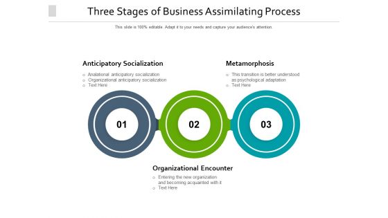 Three Stages Of Business Assimilating Process Ppt PowerPoint Presentation Infographic Template Themes PDF