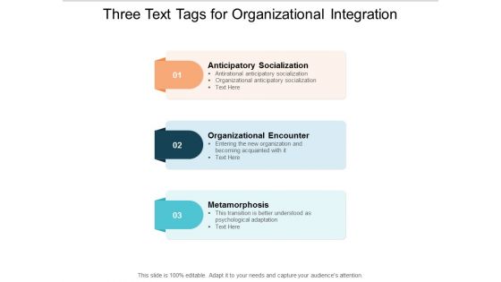 Three Text Tags For Organizational Integration Ppt PowerPoint Presentation Gallery Grid
