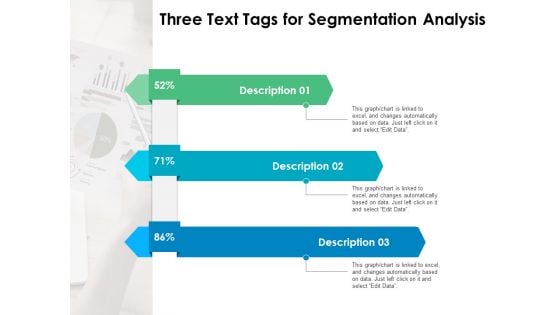 Three Text Tags For Segmentation Analysis Ppt PowerPoint Presentation Portfolio Good PDF