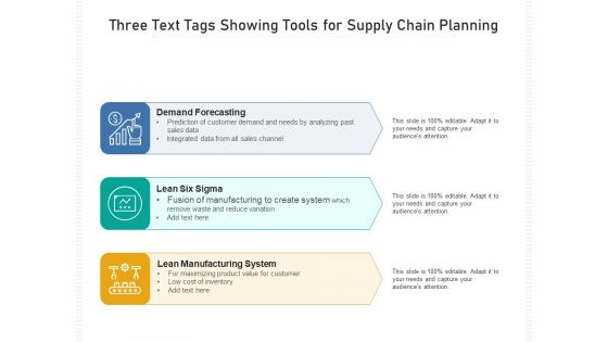 Three Text Tags Showing Tools For Supply Chain Planning Ppt PowerPoint Presentation Gallery Professional PDF