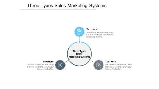 Three Types Sales Marketing Systems Ppt PowerPoint Presentation File Layouts Cpb