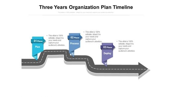 Three Years Organization Plan Timeline Ppt PowerPoint Presentation File Graphics PDF