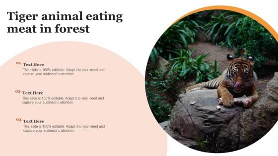 Tiger Animal Eating Meat In Forest Formats PDF