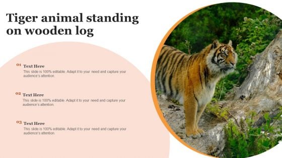 Tiger Animal Standing On Wooden Log Diagrams PDF