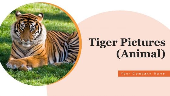 Tiger Pictures Animal Ppt PowerPoint Presentation Complete Deck With Slides